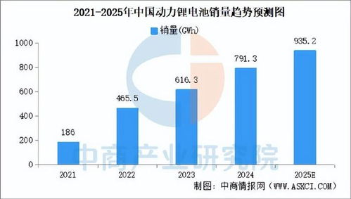 2025年中国动力锂电池行业市场前景预测研究报告