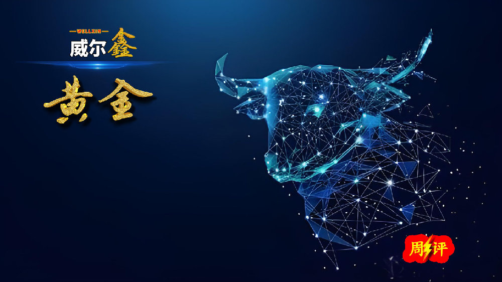 杨易君黄金与金融投资